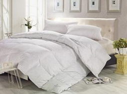 藍(lán)絲羽家紡加盟 感恩祝福,盡孝父母